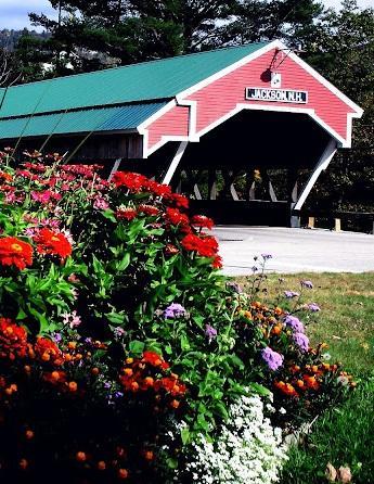 Covered Bridge River View Lodge (Adults Only) جاكسون المظهر الخارجي الصورة